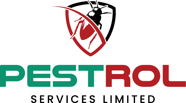 default-logo